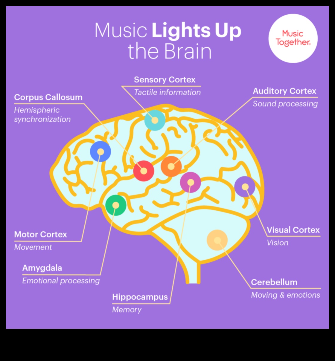 Serenade senzoriale O călătorie muzicală pentru mintea în curs de dezvoltare a bebelușului 3 Serenade senzoriale: creșterea experienței copilului cu muzica