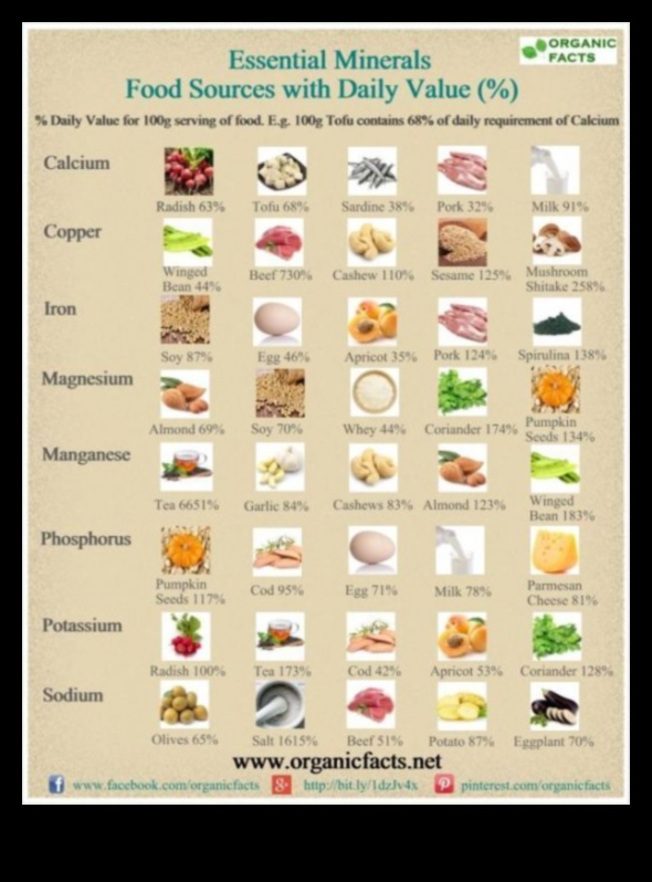 Minerale esențiale: o scufundare profundă în sănătatea nutrițională