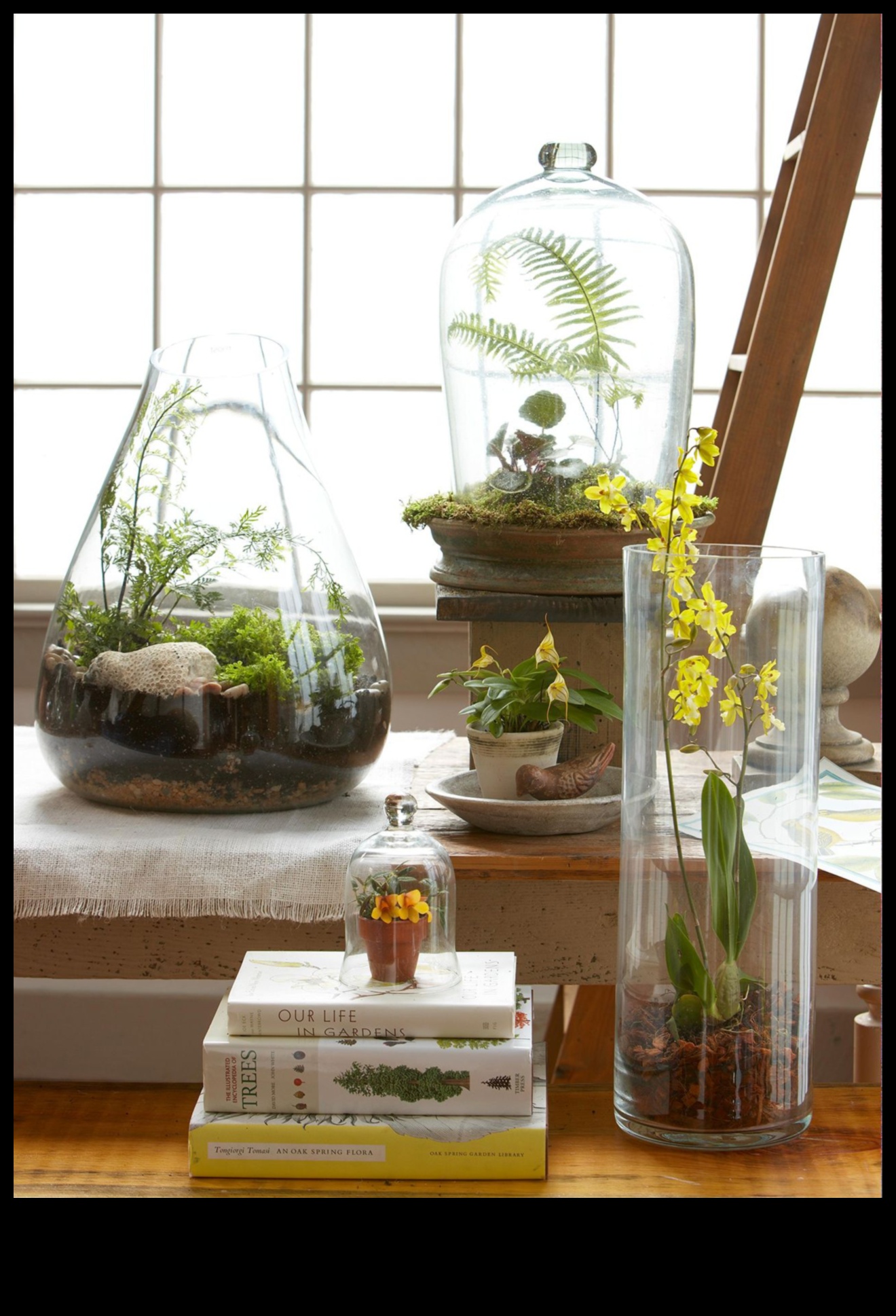 Crafting with Plants: DIY Terrariums and Botanical Creations
