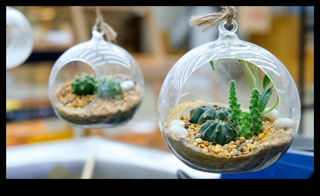 Cadouri cu degetul mare: unelte și accesorii de grădinărit