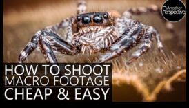 Macro-videografie DIY: Explorarea lumii microscopice