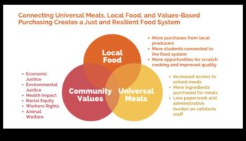 De la farfurie la politică: Advocacy pentru sănătatea publică a nutriției