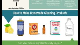 Crafting for DIY Green Cleaning: Crearea de soluții ecologice