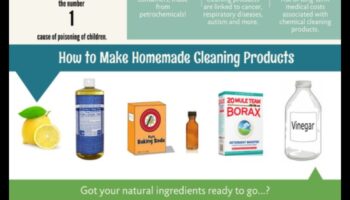 Crafting for DIY Green Cleaning: Crearea de soluții ecologice