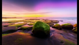 Publicare poza DIY 10 stiluri creative de încercat 3 Stiluri de editare a fotografiilor DIY: vintage, modern și multe altele