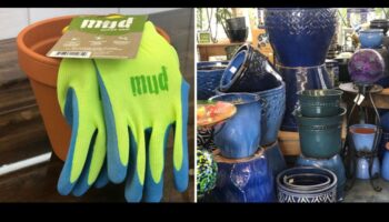 Cadouri cu degetul mare: unelte și accesorii de grădinărit