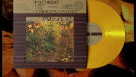 Sezonul alb șoptește surprize sezoniere catre a încălzi sufletul 6 Winter Whispers: Surprize sezoniere pentru a încălzi sufletul