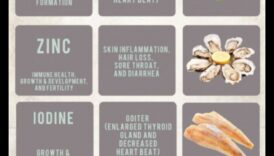 Minerale esențiale Un dascal intre sănătatea nutrițională 6 Minerale esențiale: o scufundare profundă în sănătatea nutrițională