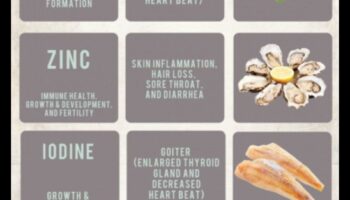 Minerale esențiale: o scufundare profundă în sănătatea nutrițională