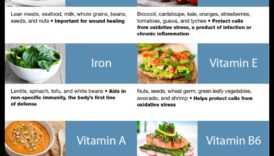 Mușcă în sănătate Hrănește-ți corpul cu micronutrienți impotriva a-ți atata sistemul imunitar 5 Mușcă în sănătate: hrănește-ți corpul cu micronutrienți