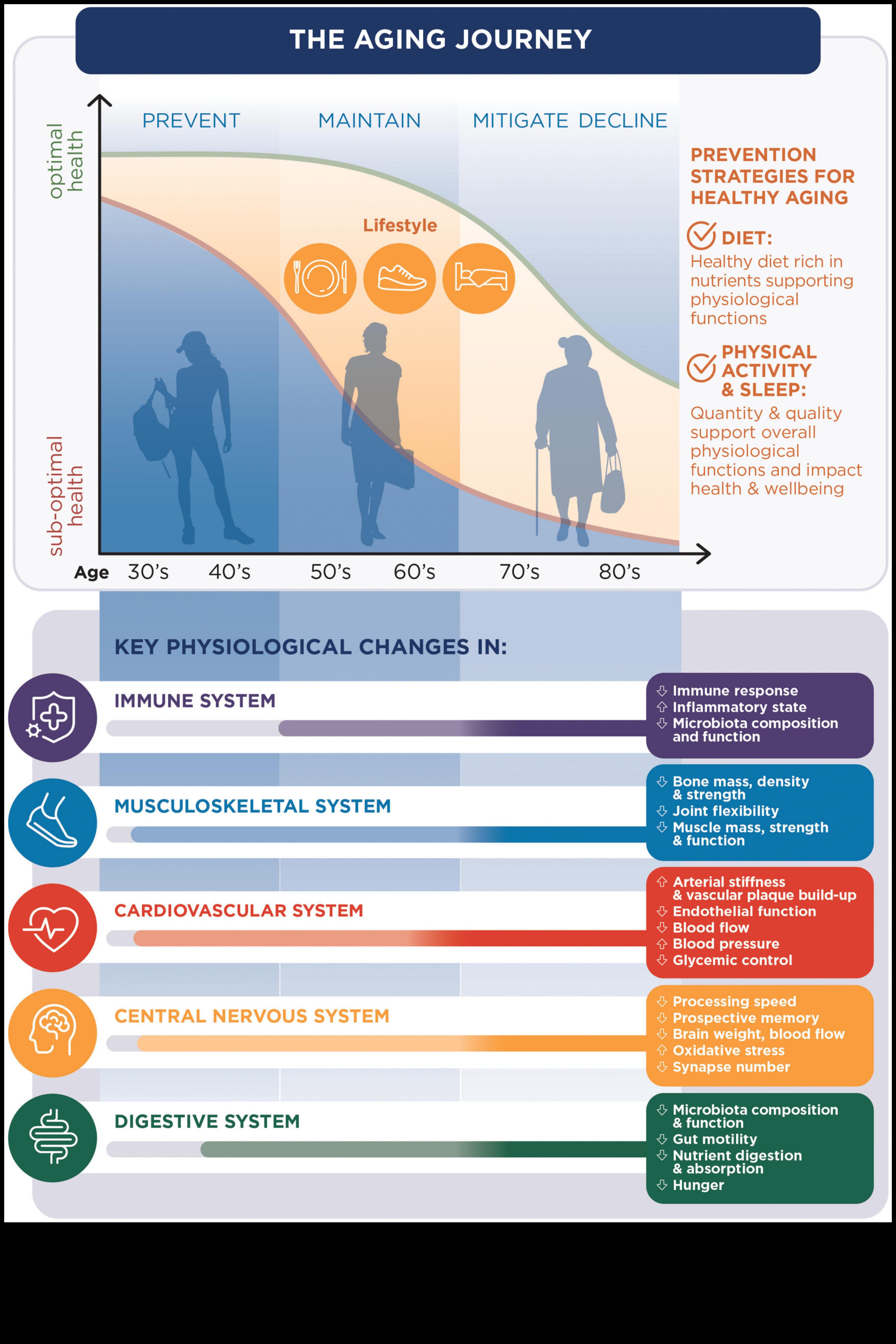 Navigarea în apele nutriționale: consiliere de specialitate pentru o călătorie sănătoasă