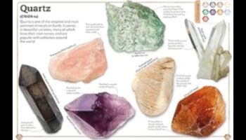 Sănătate solidă: explorarea bazelor mineralelor