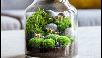 Crafting with Plants: DIY Terrariums and Botanical Creations