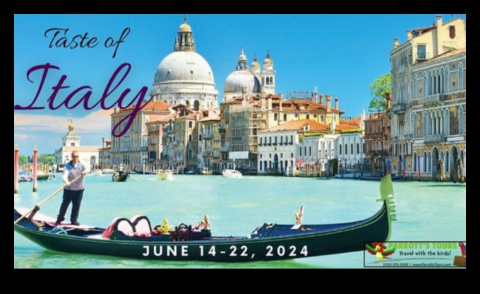 Un gust de Veneție: delicii italiene de la malul apei